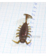Виброхвост 63 мм Jon AL BUG кор