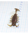 Виброхвост 63 мм Jon AL BUG кор