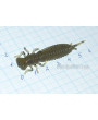 Приманка 64 мм Fanatik LARVA, цвет 001