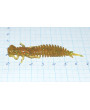 Приманка 76 мм Fanatik LARVA, цвет 009