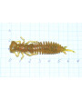 Приманка 76 мм Fanatik LARVA, цвет 009