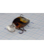 Воблер 36 мм TsuYoki SWING XC 36F SD001, вес 4,0 гр, float 0-0,4 м